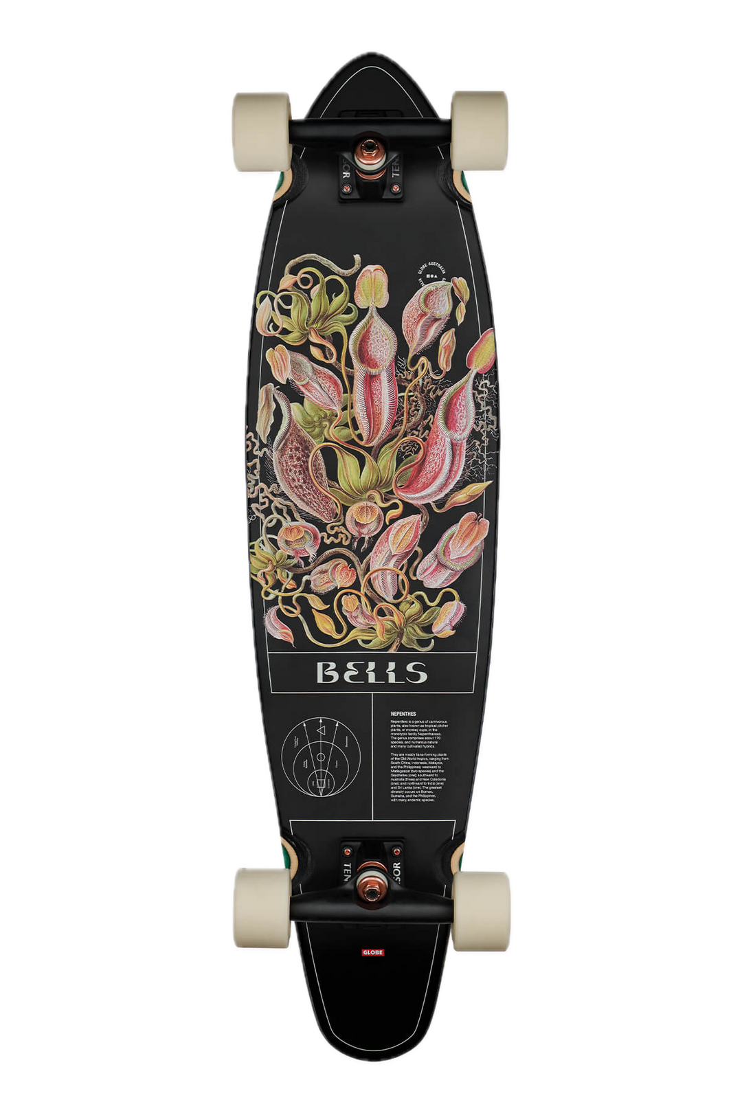 GLOBE LONGBOARD BELLS PITCHER 34" BOTTOM