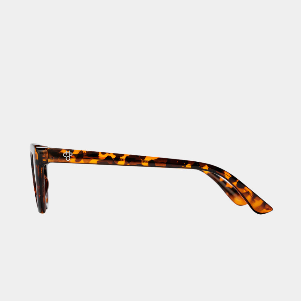 AMY LEOPARD
