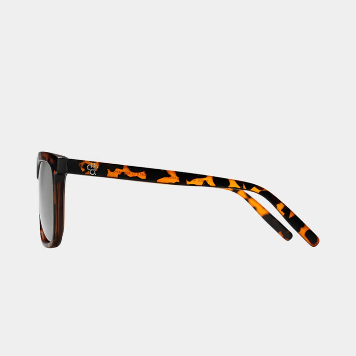 BRUCE LEOPARD
