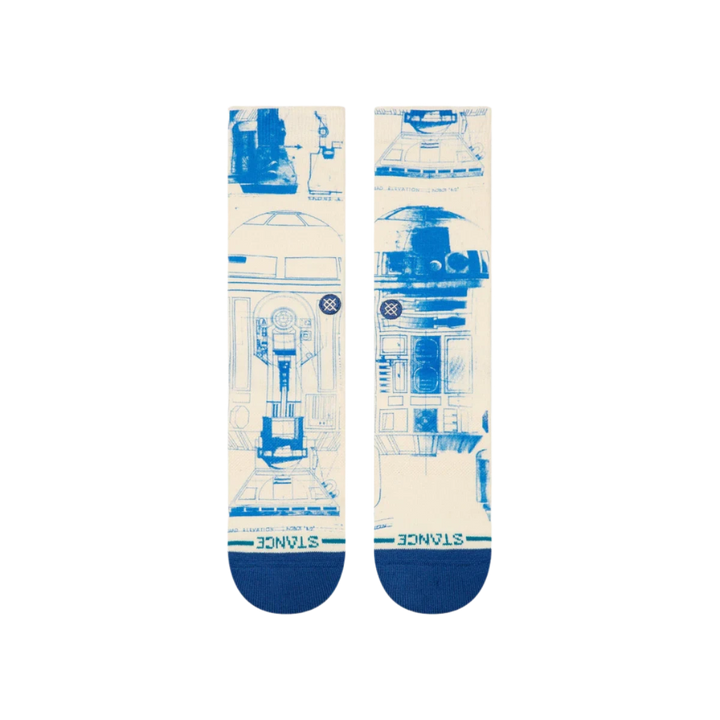 R2 D2 SOCKS CANVAS
