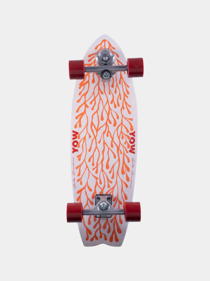 ARITZ ARANBURU 30.5" COMPLETE