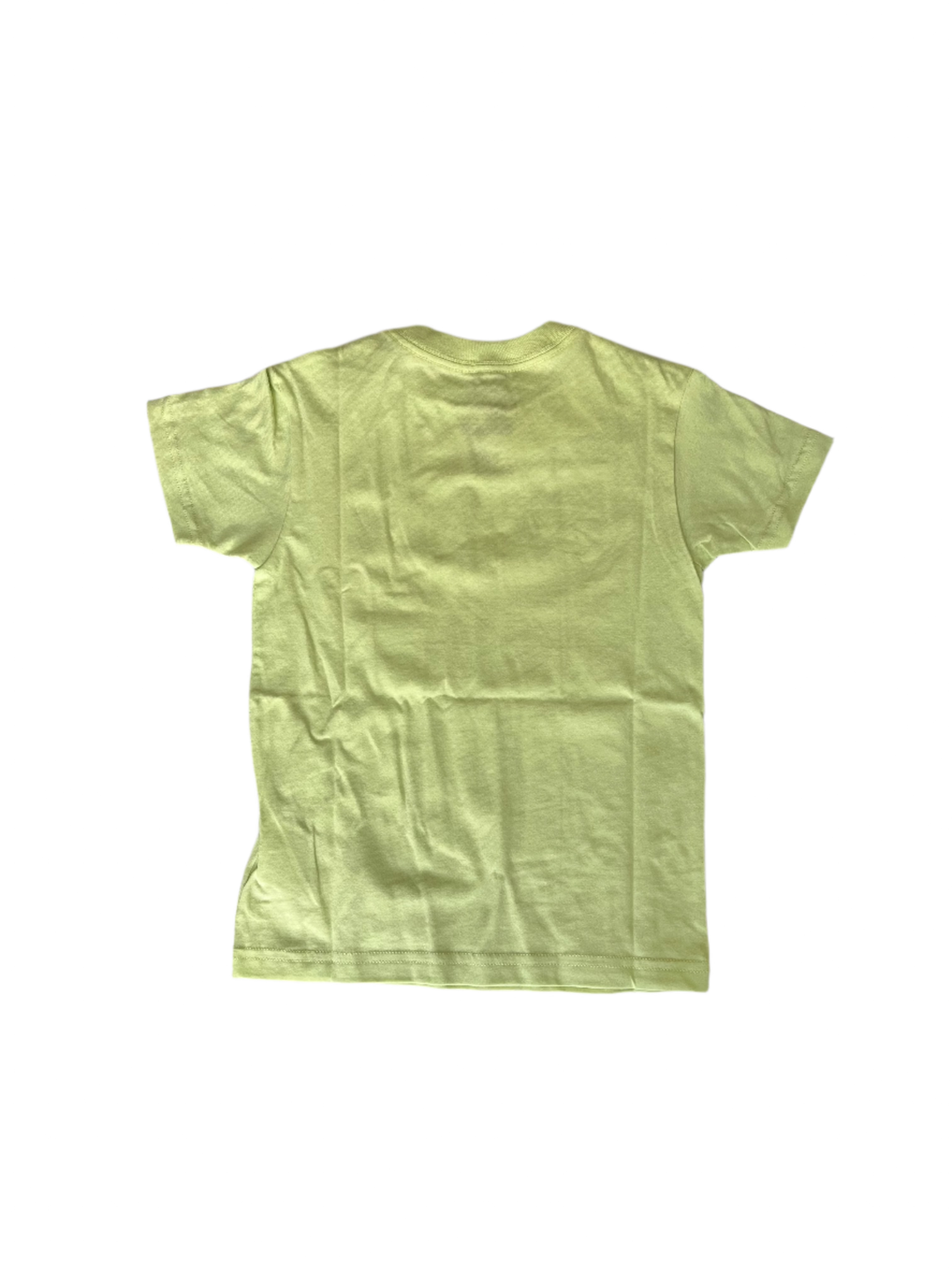 STACKED TEE SHADOW LIME