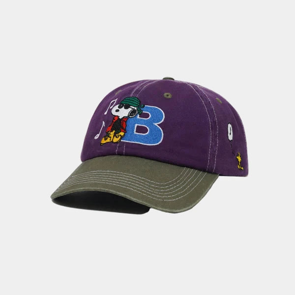 MUSIC SNAPBACK CAP WASHED PURPLE/FERN