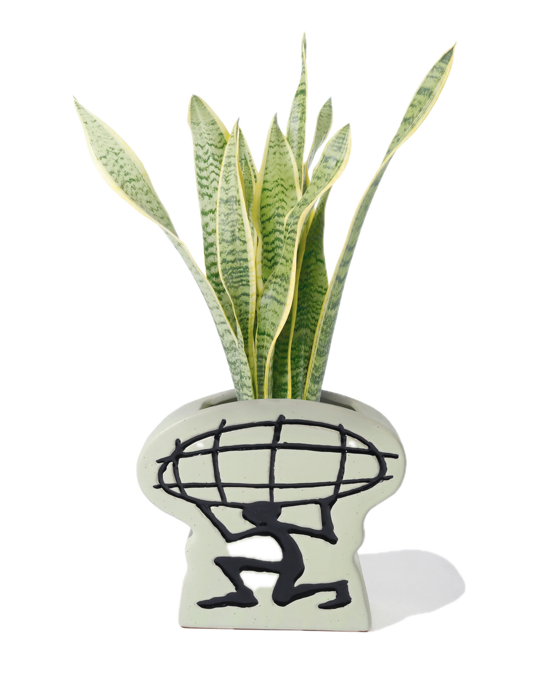 TERMIN VASE MINT