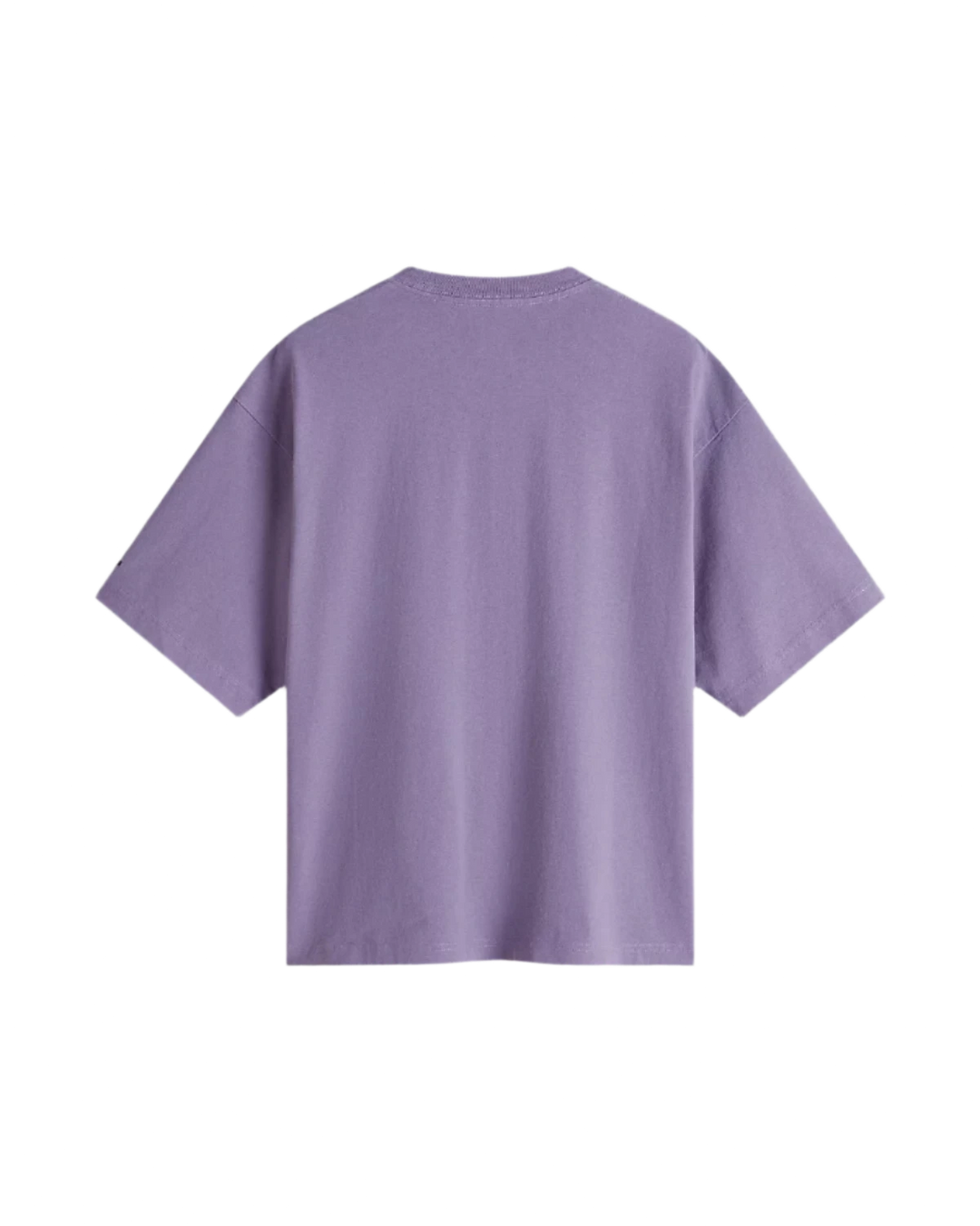 SKATE CLAY SHORT TEE PURPLE