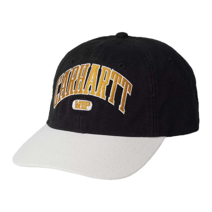 LECTURE CAP