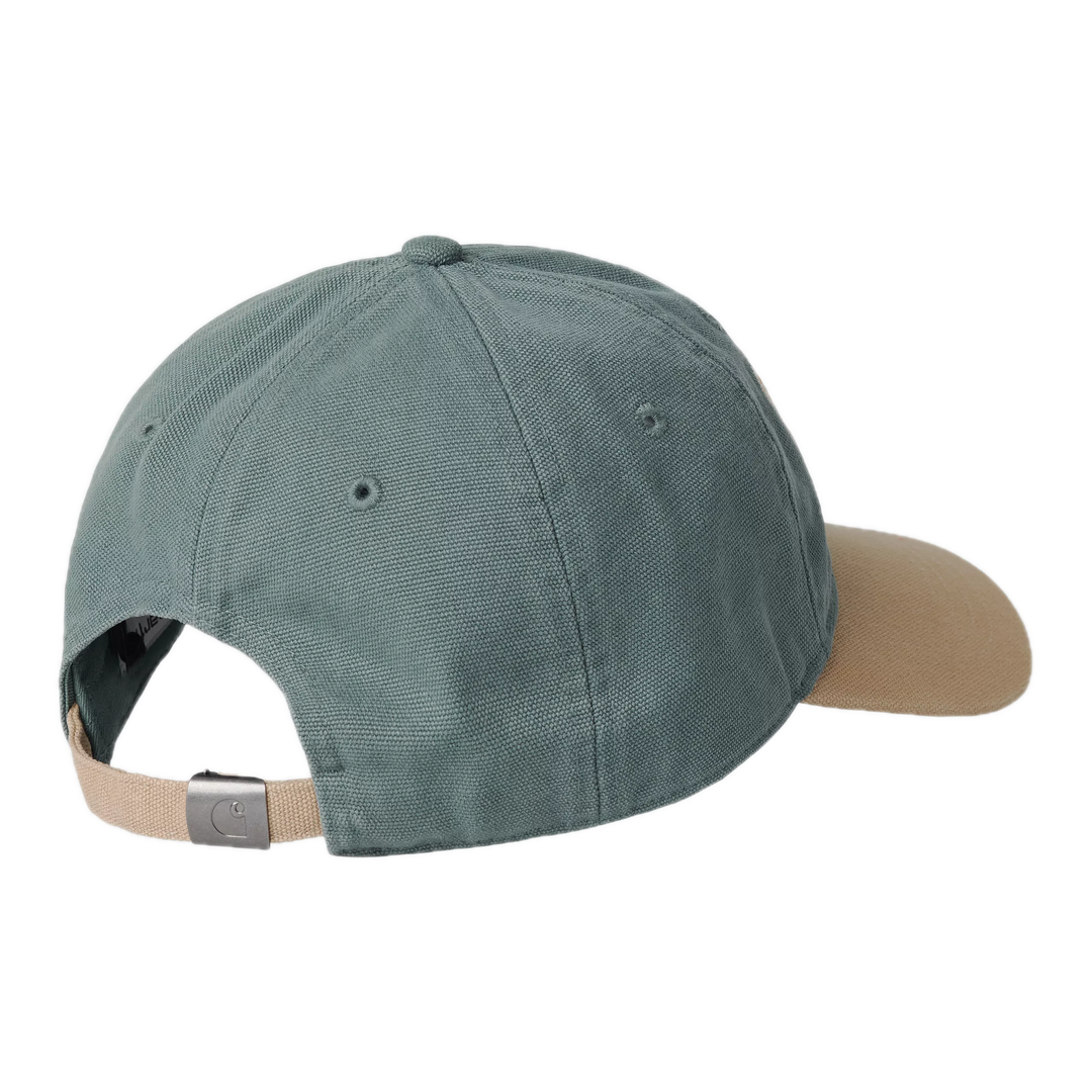 LECTURE CAP