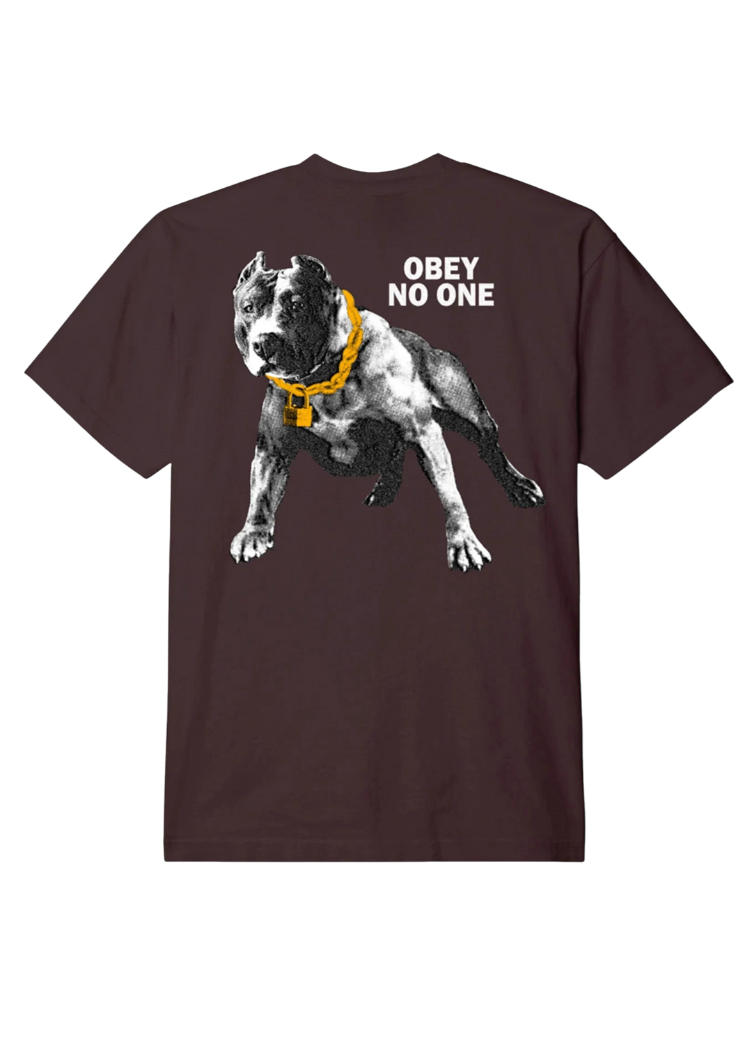 NO ONE HEAVY WEIGHT TEE JAVA BROWN